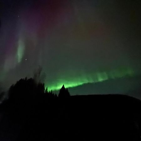 Ett Hus Med 3 Sovrum Med Supersnabba Internet Fiberanslutningen 1000Mb-100Mb I Hoeg, 7 Minuter Fran Hudiksvall Eksteriør billede