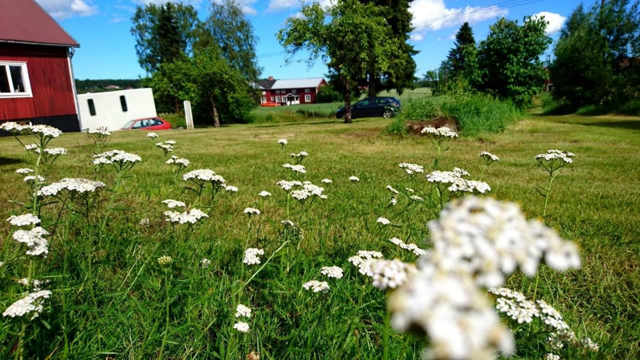 Ett Hus Med 3 Sovrum Med Supersnabba Internet Fiberanslutningen 1000Mb-100Mb I Hoeg, 7 Minuter Fran Hudiksvall Eksteriør billede